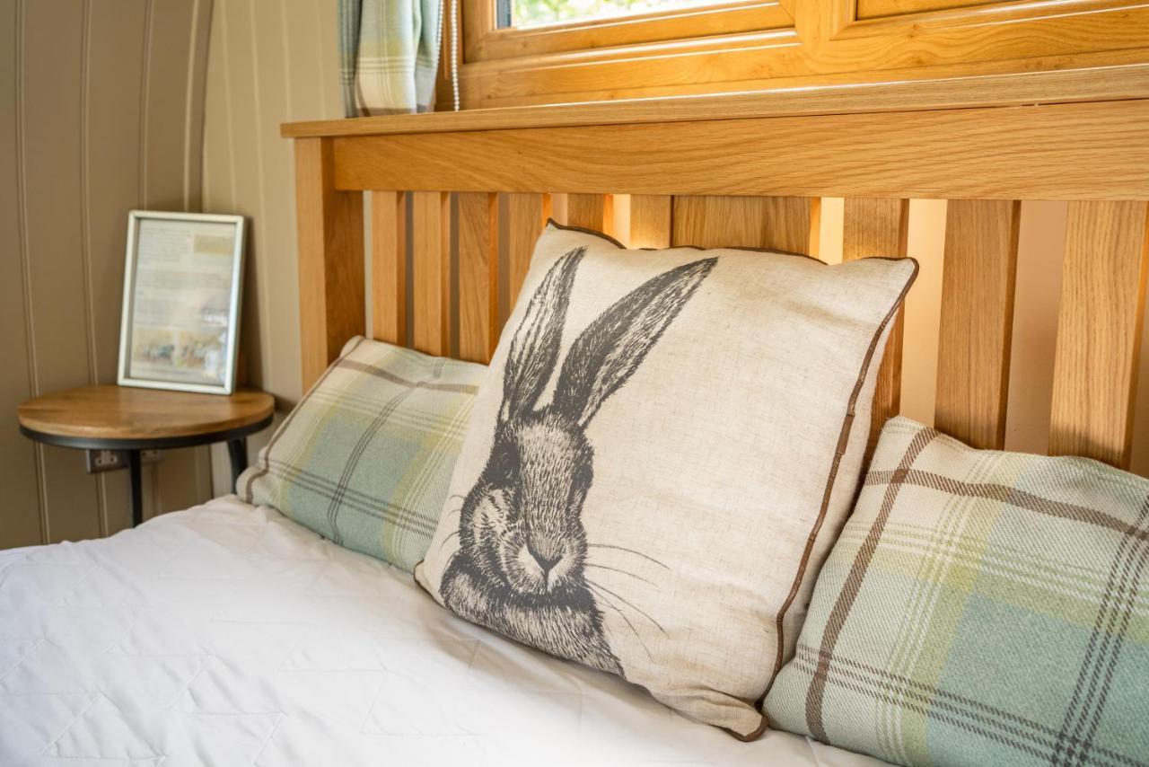 ホテル Glamping At South Lytchett Manor プール エクステリア 写真