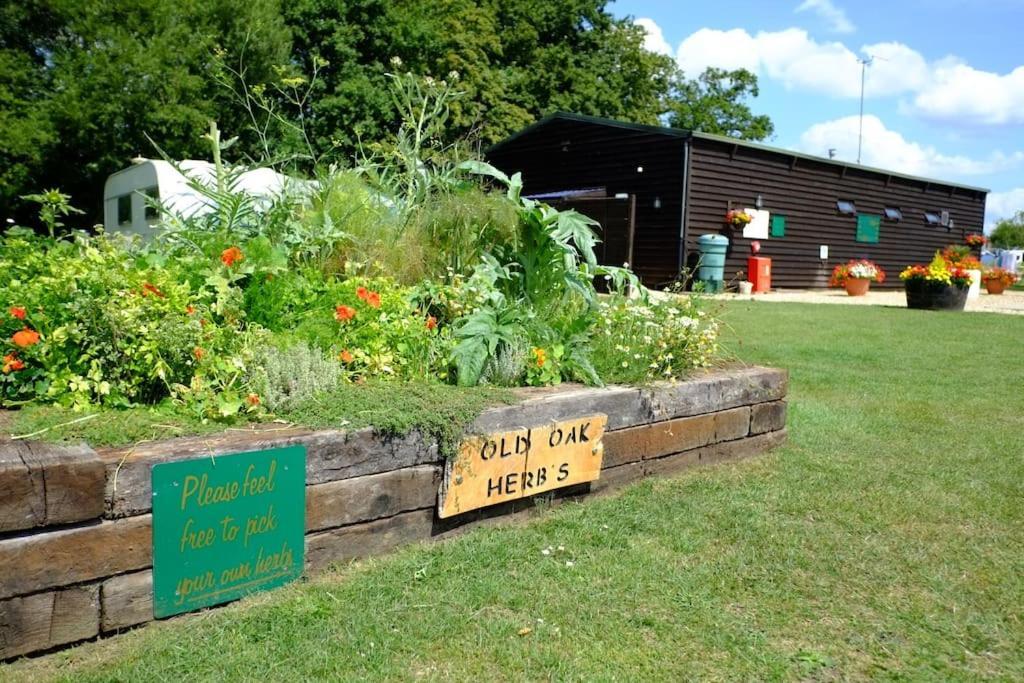 ホテル Glamping At South Lytchett Manor プール エクステリア 写真