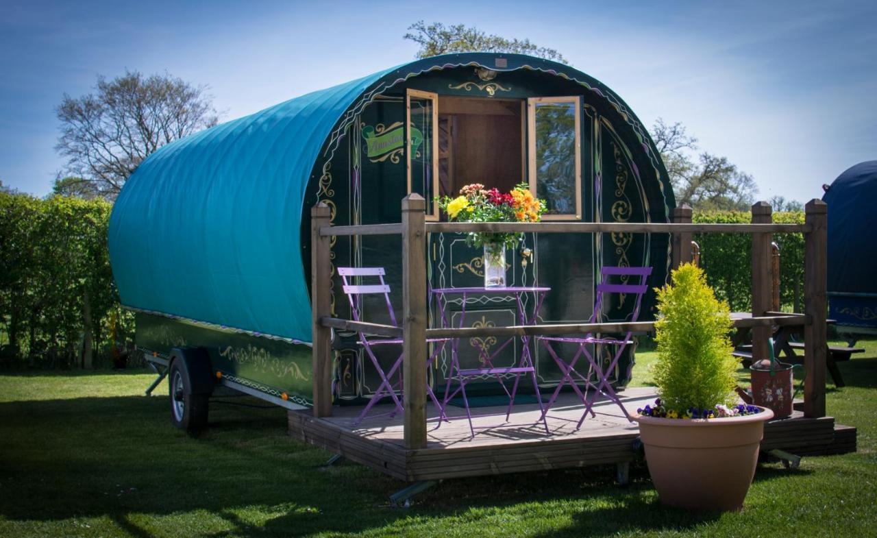 ホテル Glamping At South Lytchett Manor プール エクステリア 写真